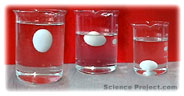 Egg floatation (Buoyancy) Science Project